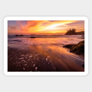 Sunset at the Beach Sticker